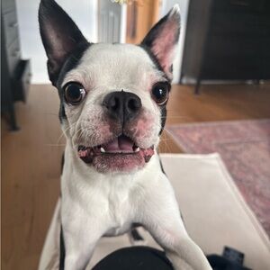 Meet your Posher, Lisa